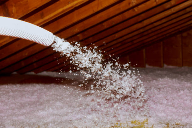 Best Cellulose Insulation  in Rushville, IN
