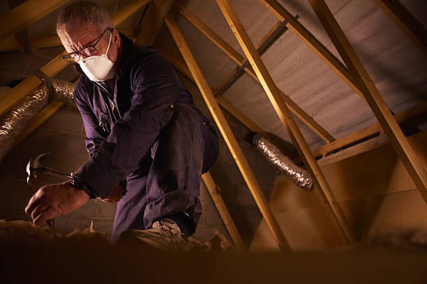 Best Wall Insulation Contractor  in Rushville, IN